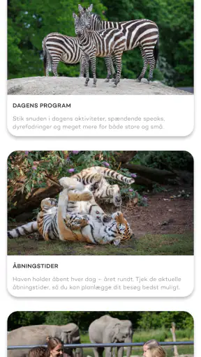ZOO København screenshot