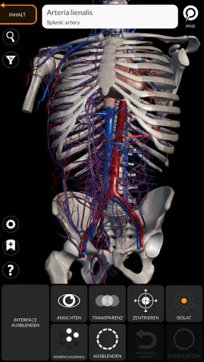 Anatomie - 3D Atlas screenshot