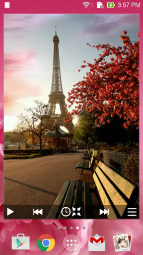 Animated Photo Widget + screenshot