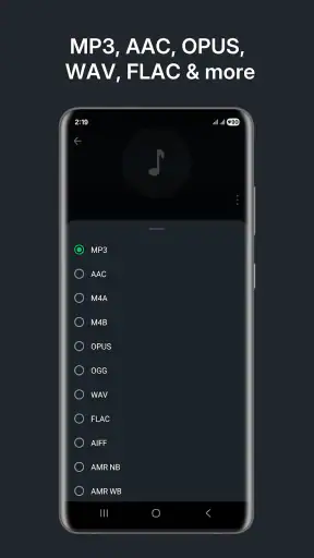 Audio Converter (MP3 AAC OPUS) screenshot