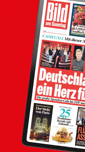 BILD ePaper App screenshot