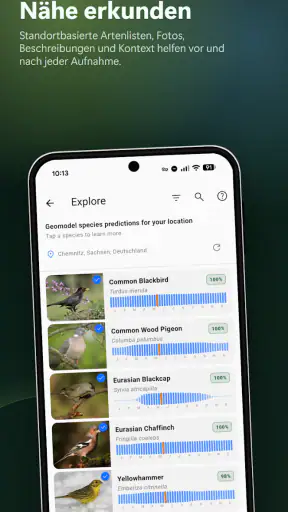 BirdNET Live screenshot