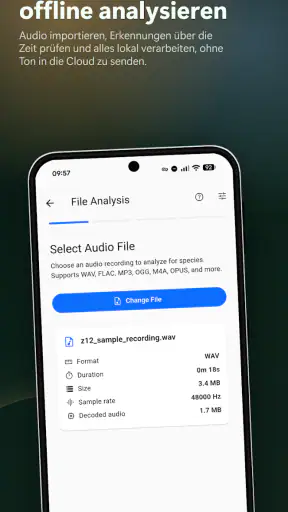 BirdNET Live screenshot