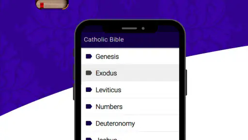 Catholic Bible Douay Rheims screenshot