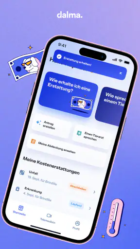 Dalma screenshot