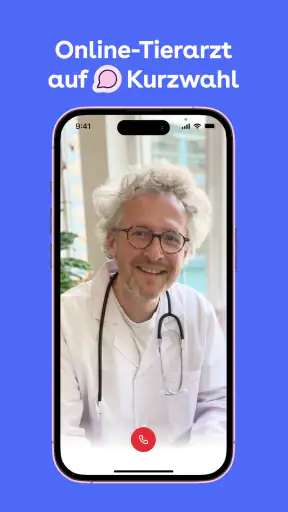 Dalma screenshot