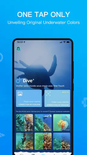 Dive+ : Tauchgemeinschaft screenshot