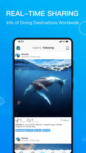 Dive+ : Tauchgemeinschaft screenshot
