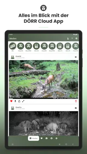 Dörr Cloud screenshot