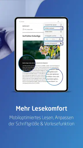Echo E-Paper screenshot