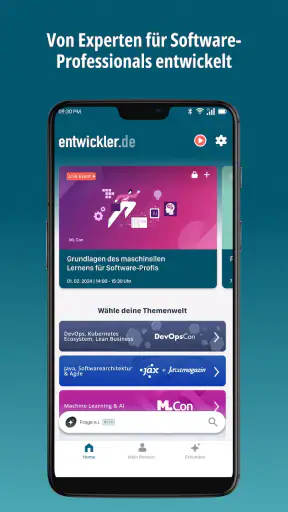 entwickler.de screenshot