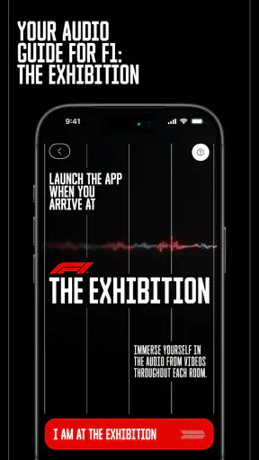F1® Exhibition: Companion screenshot