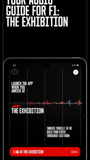 F1® Exhibition: Companion screenshot