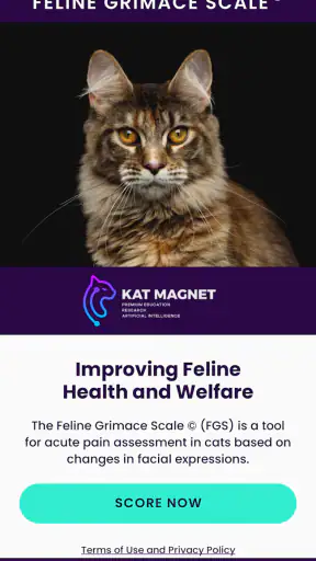 Feline Grimace Scale screenshot