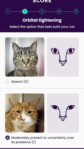 Feline Grimace Scale screenshot