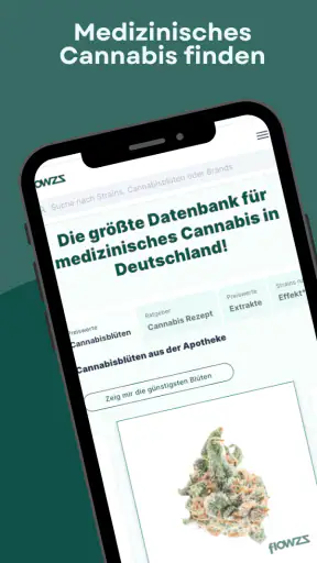 flowzz.com screenshot