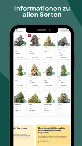 flowzz.com screenshot