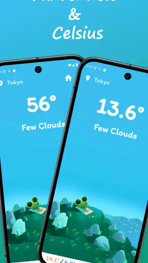 Froggy Weather screenshot