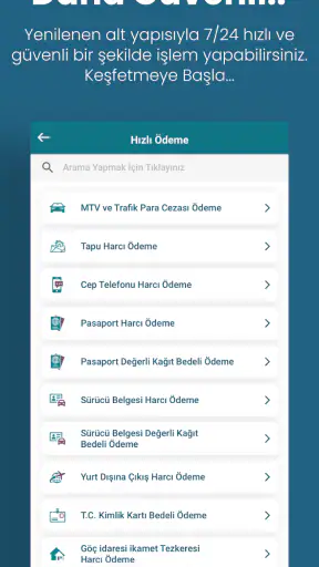 GİB screenshot