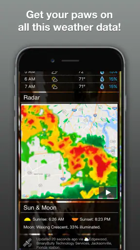 Grumpy Cat Weather screenshot