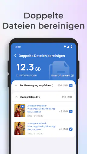 Gründliche Speicherreinigung screenshot