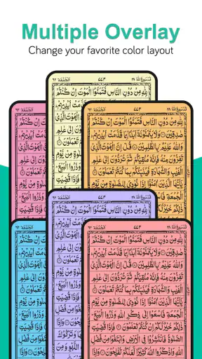 Koran MP3 - Al Koran screenshot