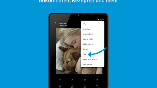 HP Druckdienst-Plug-In screenshot