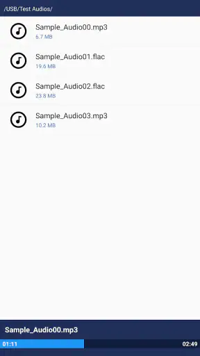 JS USB OTG screenshot