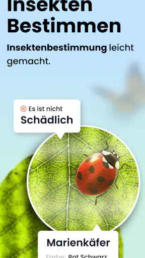 Käfer & Insekten Bestimmen screenshot