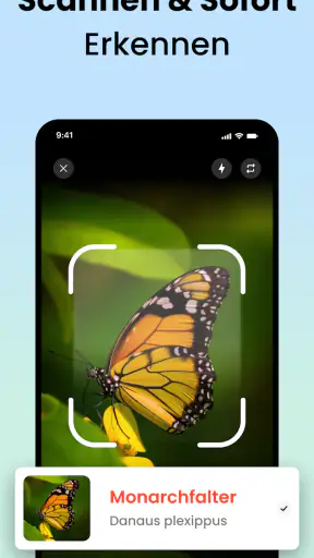 Käfer & Insekten Bestimmen screenshot