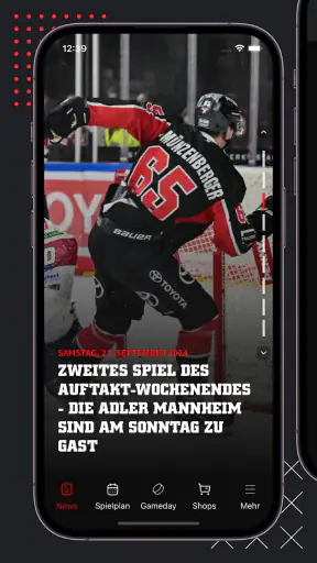Kölner Haie screenshot