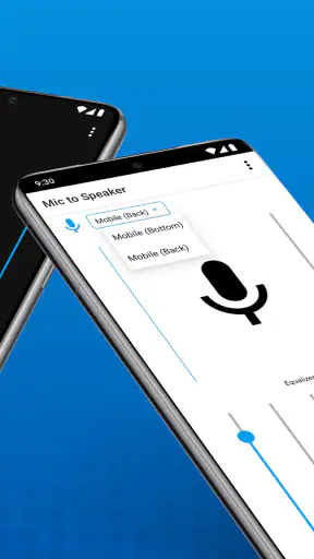 Live Mic to Bluetooth Speaker screenshot