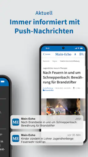 Main-Echo screenshot