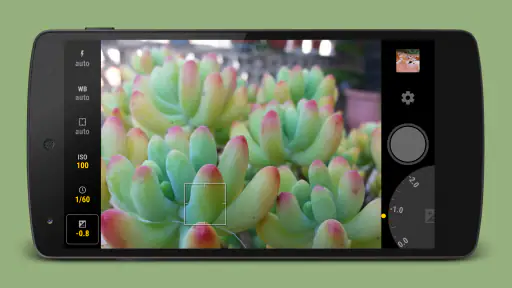 Manual Camera screenshot