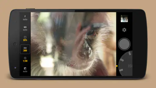 Manual Camera screenshot