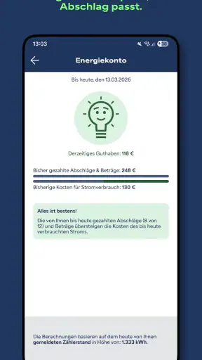 Meine enviaM-App: Strom & mehr screenshot