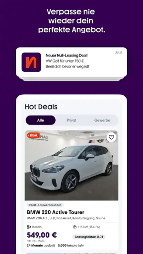 Null-Leasing.com screenshot