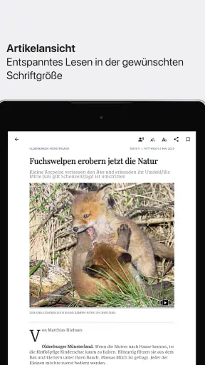 OM-E-Paper screenshot
