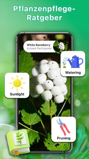 Pflanzen bestimmen und pflege screenshot