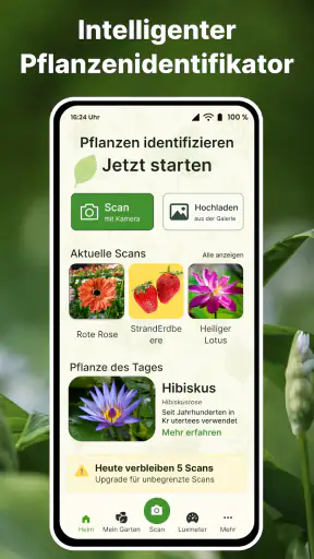 Pflanzen Erkennen auf Deutsch screenshot