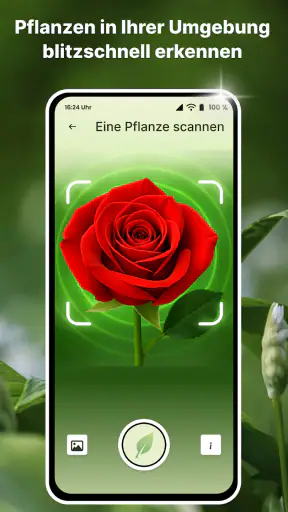 Pflanzen Erkennen auf Deutsch screenshot