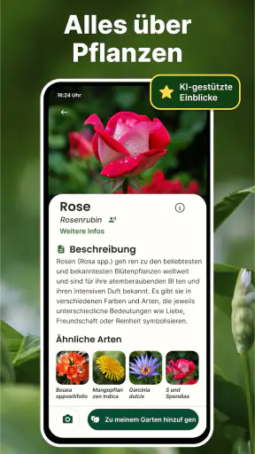 Pflanzen Erkennen auf Deutsch screenshot