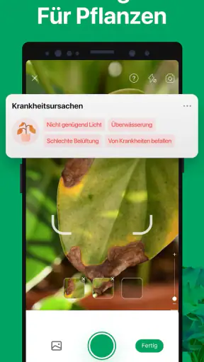 PictureThis Pflanzen bestimmen screenshot