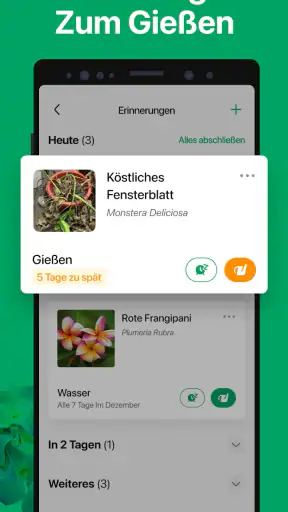 PictureThis Pflanzen bestimmen screenshot