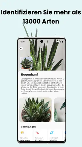 PlantCam: KI-Pflanzenerkennung screenshot