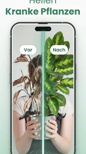 Plantify : Pflanzen Erkennen screenshot