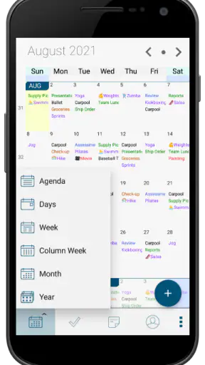 Pocket Informant screenshot