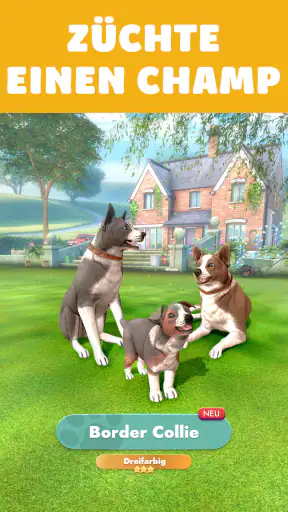 Pocket Paws: Meine süßen Hunde screenshot