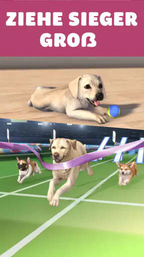 Pocket Paws: Meine süßen Hunde screenshot