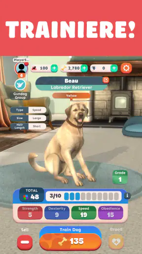 Pocket Paws: Meine süßen Hunde screenshot